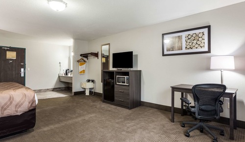 One King Bed Suite Non Smoking With 2 Person Sofa Bed