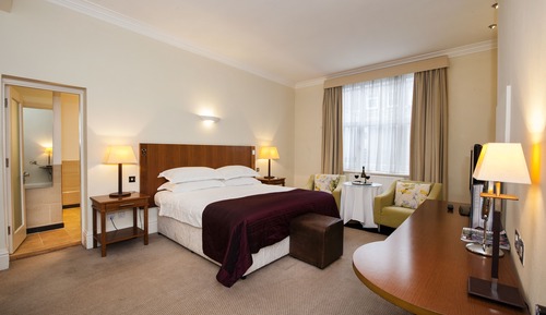 Habitación estándar, 1 cama doble