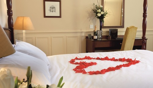 Habitación Deluxe, 1 cama doble