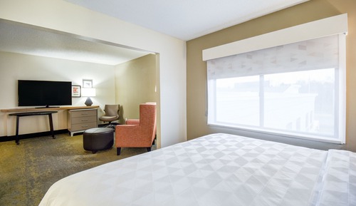 Suite, 1 cama de matrimonio grande (Mobility, Roll-In Shower)