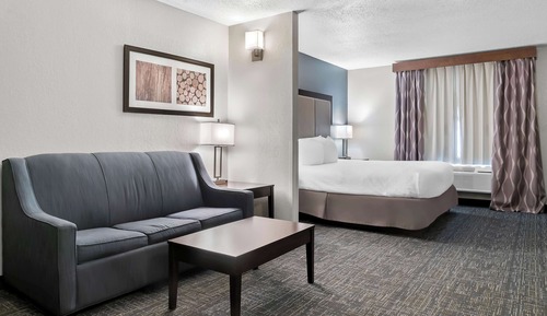 Habitación estándar, 1 cama de matrimonio grande, no fumadores, cocina básica (with Sofabed)