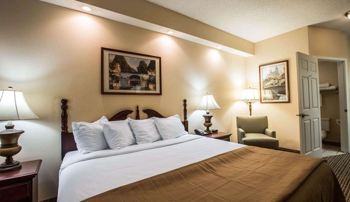 Habitación estándar, 1 cama de matrimonio grande, no fumadores