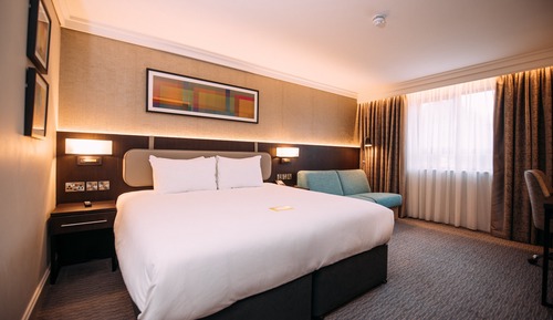 Habitación estándar, 1 cama de matrimonio grande con sofá cama