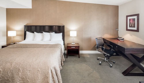 Suite ejecutiva, 1 cama de matrimonio grande (King)