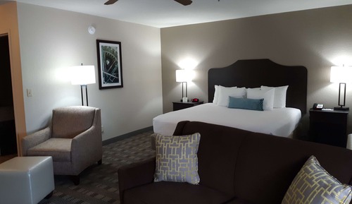 Habitación estándar, 1 cama de matrimonio grande, no fumadores (Oversized Room;with Sofabed)