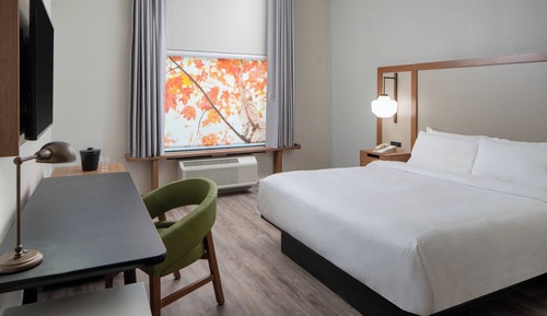 Habitación estándar, 1 cama de matrimonio grande (Mobility/Hearing Access, Roll-In Shwr)