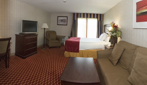 Single Queen with Pull Out Sofa