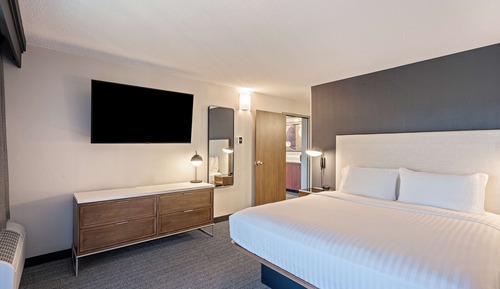 Suite, 1 cama de matrimonio grande con sofá cama