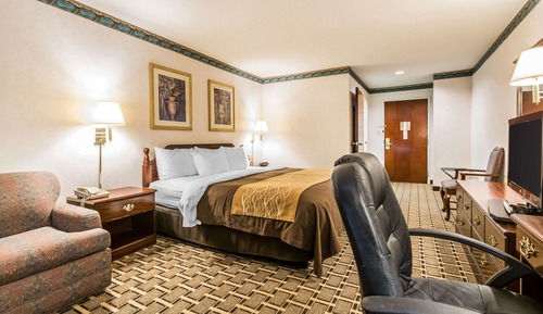 Habitación estándar, 1 cama de matrimonio grande, no fumadores