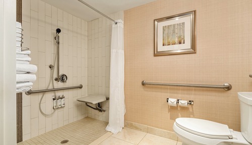 Habitación estándar, 1 cama de matrimonio (Mobility, Roll-In Shower)