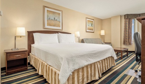 Habitación estándar, 1 cama de matrimonio grande