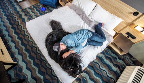 Habitación, 1 cama de matrimonio grande con sofá cama