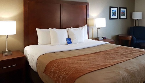 Habitación estándar, 1 cama de matrimonio, accesible para personas con discapacidad (Walk In Shower)