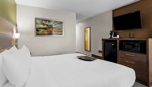 Habitación estándar, 1 cama de matrimonio grande, no fumadores, frigorífico y microondas