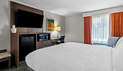 Habitación estándar, 1 cama de matrimonio grande, no fumadores, frigorífico y microondas