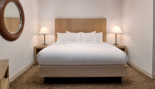 Suite estudio, 1 cama de matrimonio grande con sofá cama, no fumadores