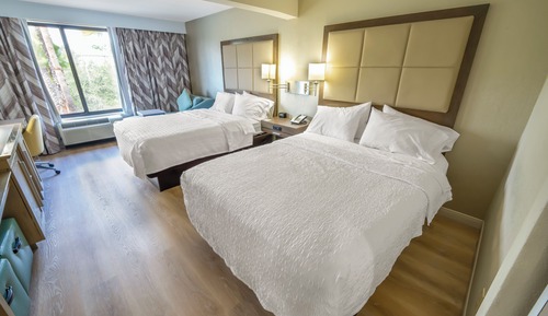 Habitación, 2 camas de matrimonio, frigorífico y microondas (Chaise)