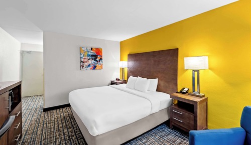 Habitación estándar, 1 cama de matrimonio grande, no fumadores, bañera de hidromasaje