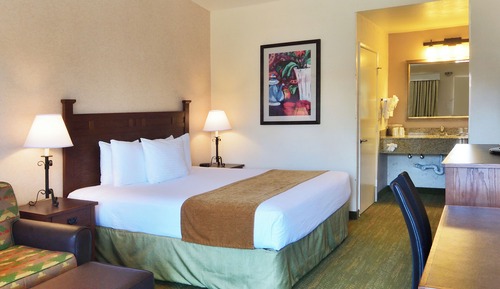 Habitación estándar, 1 cama de matrimonio grande