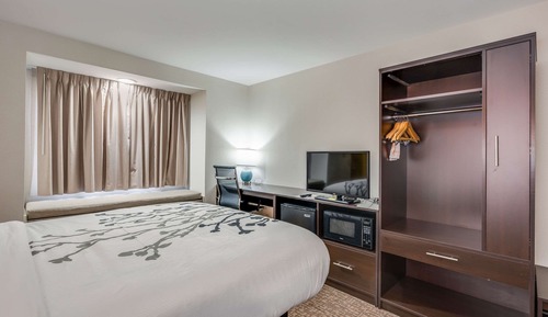 Habitación estándar, 2 camas de matrimonio, no fumadores