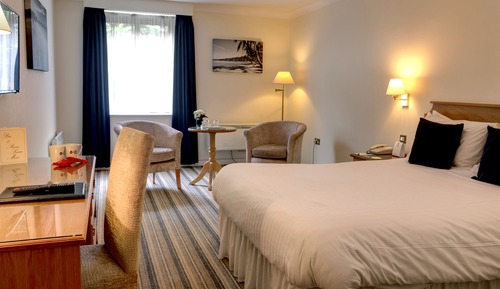 Habitación estándar, 1 cama de matrimonio grande, no fumadores