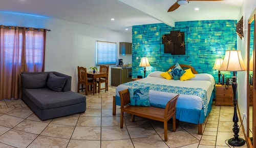 Habitación estándar con 1 cama doble o 2 individuales