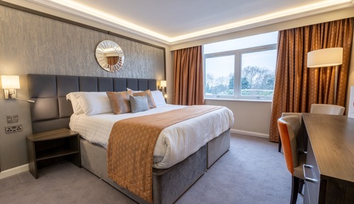 Habitación doble superior, 1 cama de matrimonio grande, no fumadores