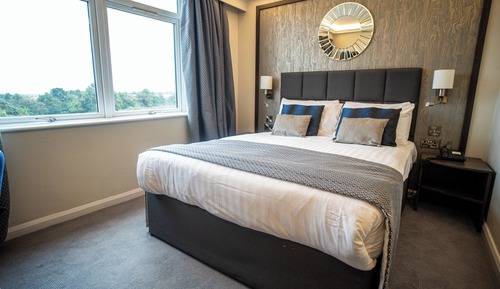 Habitación estándar, 1 cama doble