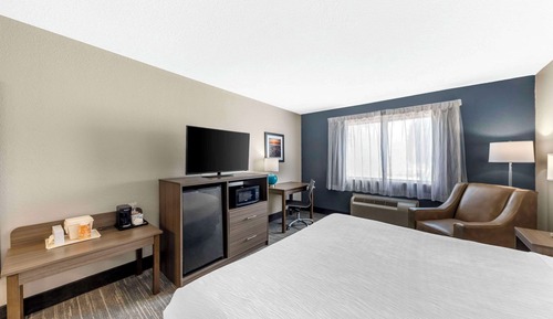 Habitación, 1 cama de matrimonio grande, accesible para personas con discapacidad (Roll-In Shower)