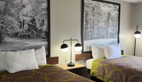 Habitación estándar, 2 camas de matrimonio