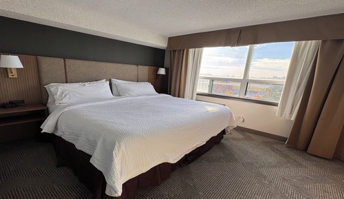 Suite, 1 cama de matrimonio grande con sofá cama (Minifridge)