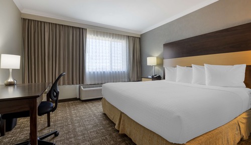 Suite, 1 cama de matrimonio grande, no fumadores, frigorífico y microondas