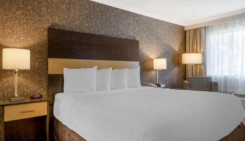 Habitación estándar, 1 cama de matrimonio grande, no fumadores, frigorífico