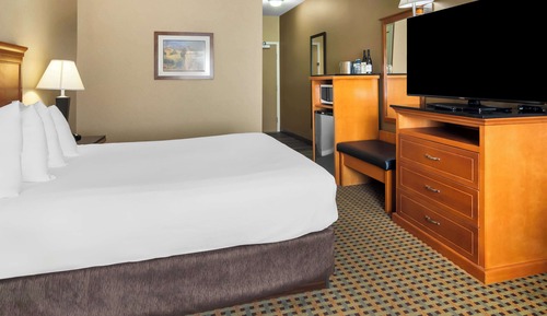 Habitación estándar, 1 cama de matrimonio grande, no fumadores, frigorífico y microondas