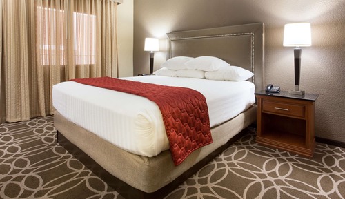 Suite, 1 cama de matrimonio grande con sofá cama, frigorífico y microondas (2 Rooms)