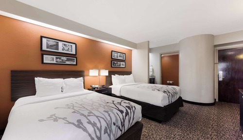 Habitación estándar, 2 camas dobles