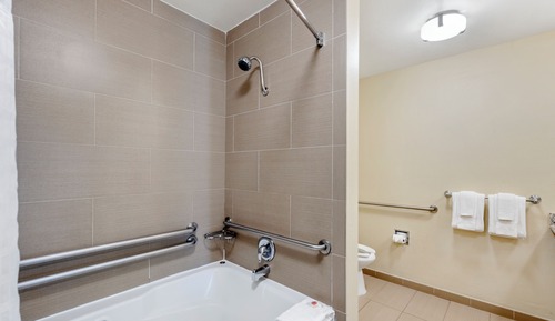 Suite, 1 cama de matrimonio grande, accesible para personas con discapacidad, no fumadores