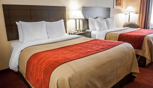 Habitación estándar, 2 camas de matrimonio, no fumadores (First Floor)