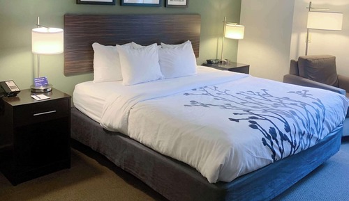 Habitación estándar, 1 cama de matrimonio grande, no fumadores
