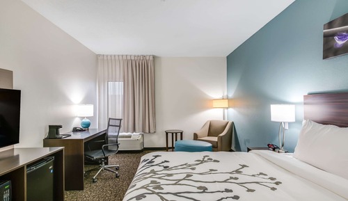 Habitación estándar, 1 cama de matrimonio grande, no fumadores