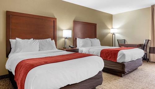 Habitación básica, 2 camas dobles, no fumadores