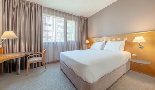 Habitación estándar doble, 1 cama de matrimonio grande