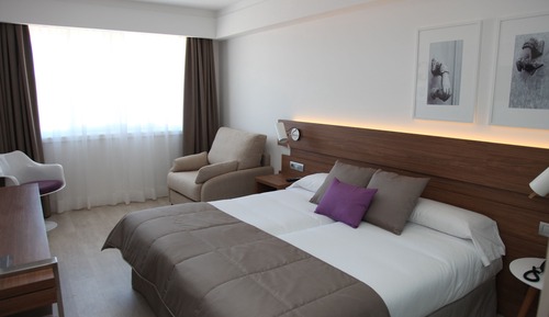 Habitación con 1 cama doble o 2 individuales (Single Use)