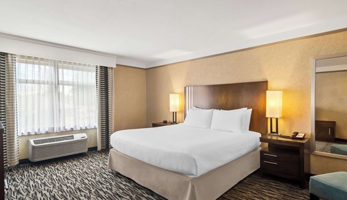 Habitación estándar, 1 cama de matrimonio grande, no fumadores, frigorífico