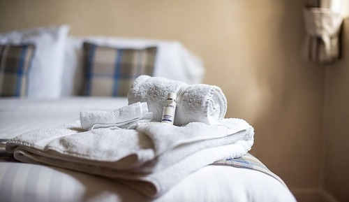 Habitación triple básica, 1 habitación