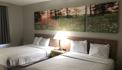 Habitación estándar, 2 camas de matrimonio