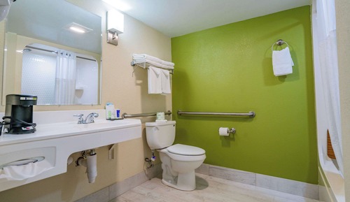 Habitación, 1 cama de matrimonio, accesible para personas con discapacidad (Roll-In Shower)