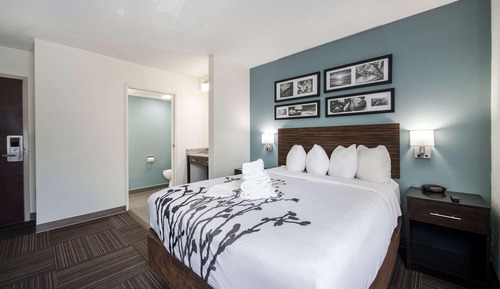 Habitación, 1 cama de matrimonio, accesible para personas con discapacidad, no fumadores