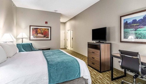 Habitación estándar, 1 cama de matrimonio grande, no fumadores