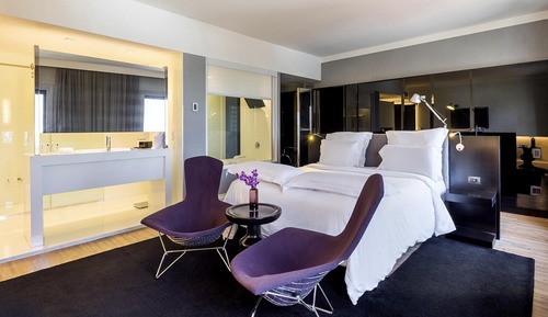 Suite ejecutiva, 1 cama de matrimonio, vistas al parque
